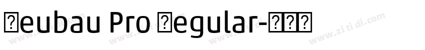Neubau Pro Regular字体转换